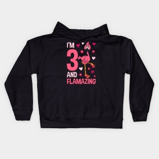 I'm 3 and Flamazing Flamingo Kids Hoodie